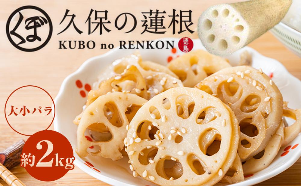 大小バラ 蓮根 約2kg れんこん