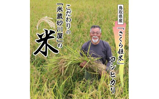 【2025年9月下旬～発送予定】鹿野のさくら姫米 6kg ( 3kg×2袋 )