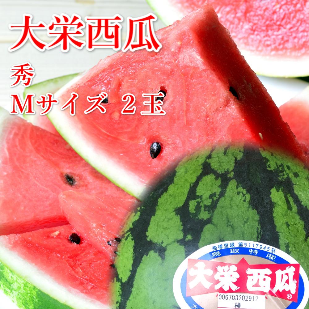 997.【ふるさと納税】【先行予約】大栄西瓜　M　２玉※6月中旬～7月中旬頃に順次発送予定
