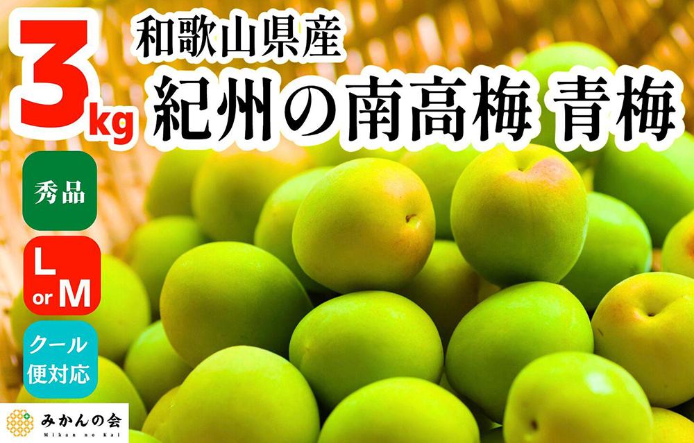 【2025年6月上旬出荷】青梅 南高梅 3kg 秀品 LまたはMサイズ 和歌山県産 A品 梅酒作り用 梅ジュース作り用