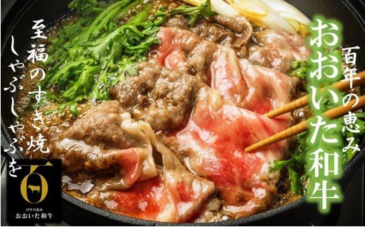 おおいた和牛ももスライス700g