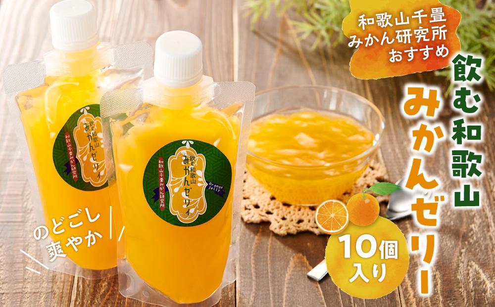 飲む和歌山みかんゼリー 10個 和歌山千畳みかん研究所おすすめ