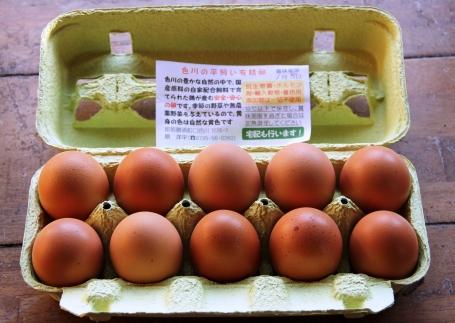 国産飼料にこだわった鶏が産む安全安心の 『レモン色たまご』1パック（10個入り）×6