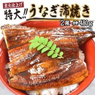 うなぎ蒲焼き2尾入り 480g（蒲焼たれ4袋 山椒付き）【KS5】