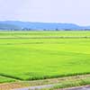 宮城県美里町のふるさと納税お礼の品1