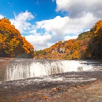 群馬県群馬県のふるさと納税お礼の品2