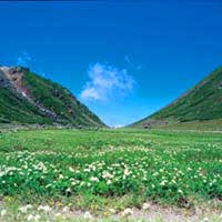 岐阜県高山市のふるさと納税お礼の品1