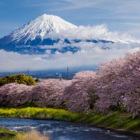 静岡県静岡県のふるさと納税お礼の品1