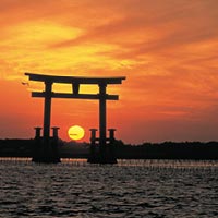 静岡県静岡県のふるさと納税お礼の品3