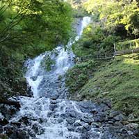 静岡県伊豆市のふるさと納税お礼の品3