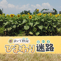 滋賀県野洲市のふるさと納税お礼の品1