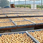 和歌山県みなべ町のふるさと納税お礼の品1
