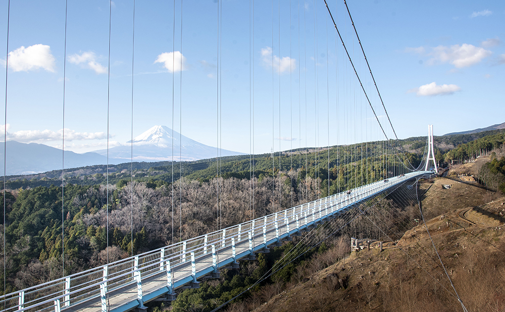感動の瞬間に行ってみた！三島スカイウォーク編