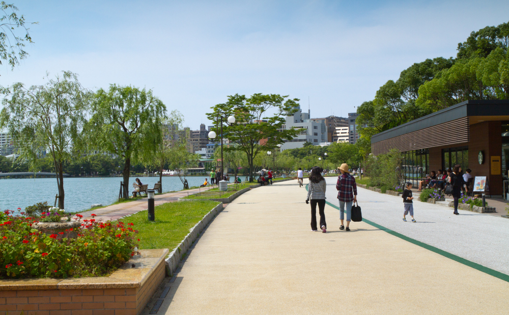写真提供／大濠・西公園管理事務所