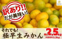 訳あり 極早生 箱込 2.5kg (内容量約 2.3kg) サイズミックス 有田みかん 和歌山県産 【みかんの会】