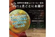 【12か月定期便】 焙煎士お任せ100g×3種類セット[豆のまま] 受注自家焙煎 珈琲豆 コーヒー豆