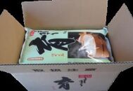 【令和6年産】富山県産こしひかり　育（はぐくみ）白米　5キロ×２個セット《南砺の逸品》