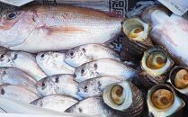 小豆島から直送！朝獲れ鮮魚 旬の地魚詰め合わせ 3kg以上