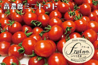 【2025年3月発送】フルーツトマト「fruino ふるーの」1箱（4パック）