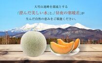 【先行予約】 北海道産赤肉メロン約1.6kg×2玉 (2025年7月中旬から発送予定) 【 果物 くだもの フルーツ メロン 赤肉 赤肉メロン 旬 お取り寄せ 甘い 北海道産 旭川市 北海道 】_02061