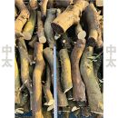 薪 キャンプ用 有田みかんの薪30kg(中太のみ)