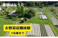 農園はなうた お野菜収穫体験券 5名様まで