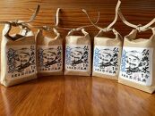令和6年度産 【新米】コシヒカリ 無洗米 １合袋 12袋セット。備蓄米にも最適。