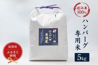 セレブな ハンバーグ専用 米 5kg【近江米　100%】