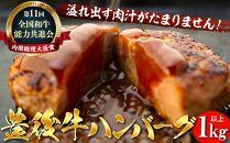 【湯布院】豊後牛ハンバーグ  90g×12個　計1kg以上