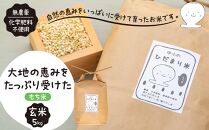 【無農薬・化学肥料不使用】大地の恵みをたっぷり受けた もち米（玄米）5kg