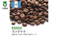 [豆]#23 受注焙煎！310g グァテマラSHB サンタロッサS17 Qグレード 珈琲豆 コーヒー豆 自家焙煎