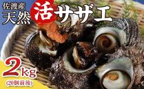 佐渡産　天然活サザエ 2kg（20個前後）