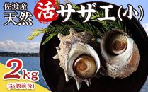 佐渡産　天然活サザエ 2kg 小（35個前後）