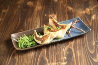餃子に命を懸けた男が生み出す！宝石のように美しい餃子【ポイント交換専用】