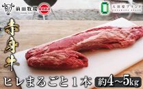 【大田原 前田牧場直送 赤身牛】ヒレまるごと1本（4kg～5kg） | ブランド牛 牛肉 フィレ ステーキ ヒレ 産地直送 産直