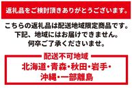【先行予約】ヘラクレスオオカブト ペア（オス130mm～140mm前後・メスフリー）※配送不可地域あり【2025年3月より順次発送】【 カブトムシ かぶとむし 昆虫 成虫 生体 飼育カブトムシ かぶとむし観察 和歌山県 白浜町 CW001 】