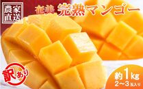 【2025年 先行予約】奄美完熟マンゴー 訳あり 家庭用 約1kg(2～3玉入り) 農家直送！