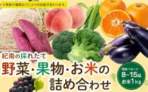 紀南の採れたて新鮮野菜・フルーツ・お米詰め合わせセット（8～15品目詰め合わせ）