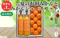 【お中元】夏の有田みかん (約1kg) と有田のみかんジュース（500ml×2本）和歌山県産 産地直送【7月上旬～8月上旬に順次発送】