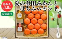 夏の有田みかん(約1.5kg)と 有田のはちみつ( みかん蜂蜜・百花蜜 各230g) セット 和歌山県産 産地直送 【みかんの会】