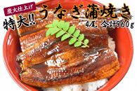 うなぎ蒲焼き4尾入り 960g（蒲焼たれ8袋 山椒付き）【KS7】