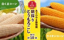 【先行予約】朝採りとうもろこしMIX10本 4.5kg あさひやま動物園 白くまコーンとライオンコーンのミックス（2025年8月中旬より発送予定） 【 とうもろこし 人気 北海道 糖度 野菜 白いとうもろこし 白いスイートコーン 産地直送 ホワイトレディ ゴールドラッシュ コーン 玉蜀黍 旬 お取り寄せ 旭川市 北海道 】_02157