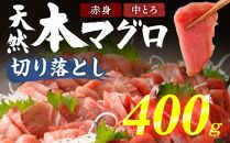 tk024　【遠洋漁船高豊丸漁獲】天然本マグロ（赤身・中とろ）切落し４００ｇ _ 冷凍 お手軽 切り落とし 中トロ 赤身 セット 高知 室戸