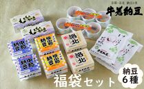 【牛若納豆】福袋セット（6種類・合計32パック）