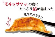 【大阪名物】大阪ふくちぁん餃子 冷凍生餃子 108個 ［36個入×3セット］