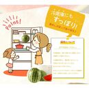 紀州和歌山産 小玉スイカ「ひとりじめ」 1玉【2025年6月上旬頃～2025年6月下旬頃に順次発送】【UT85】