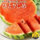 紀州和歌山産 小玉スイカ「ひとりじめ」 2玉【2025年6月上旬頃～2025年6月下旬頃に順次発送】【UT86】