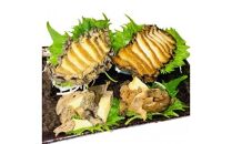 20-07満点あわび2種セット(昆布だし味1個、伊勢だれ味1個)