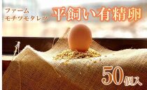 ファームモチツモタレツの平飼い有精卵（50個入） 【 卵 たまご タマゴ 玉子 卵焼き オムレツ 卵かけご飯 ゆで卵 鶏卵 卵黄 生卵 平飼い 長沼町 北海道 】