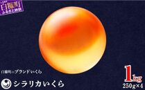 シラリカいくら【1kg(250g×4)】〔お好みに味付けができます〕